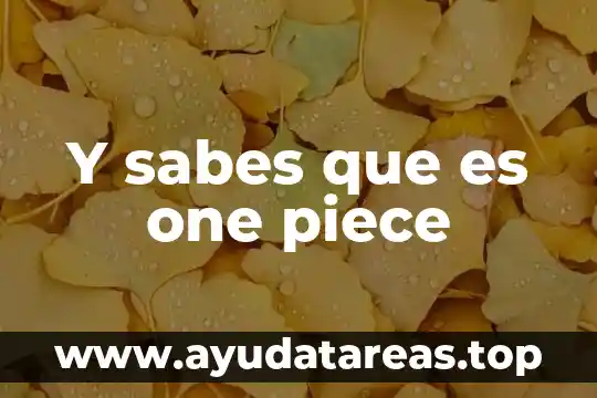 Y sabes que es one piece