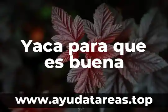 Para que es buena la quina roja 5 Yaca para que es buena