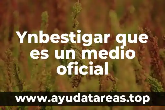 Ynbestigar que es un medio oficial