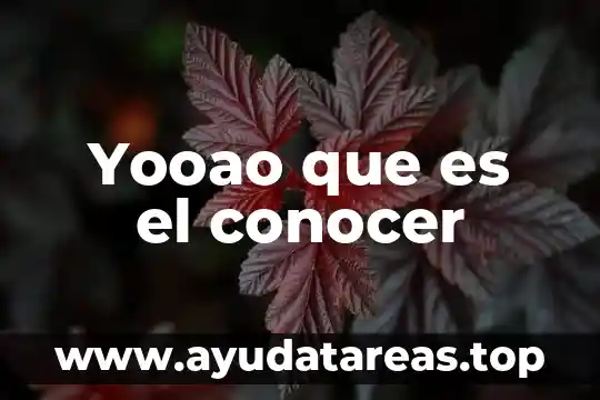 Yooao que es el conocer