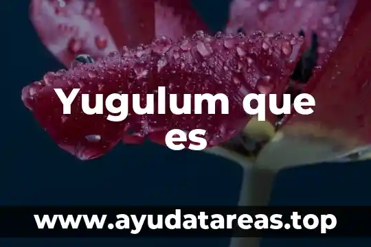 Yugulum que es