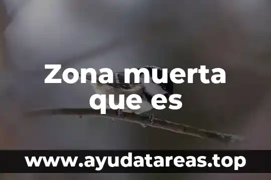 Zona muerta que es